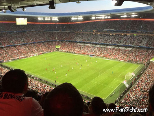 Sicht auf das Spielfeld aus Block 333 in der Allianz Arena des FC Bayern München