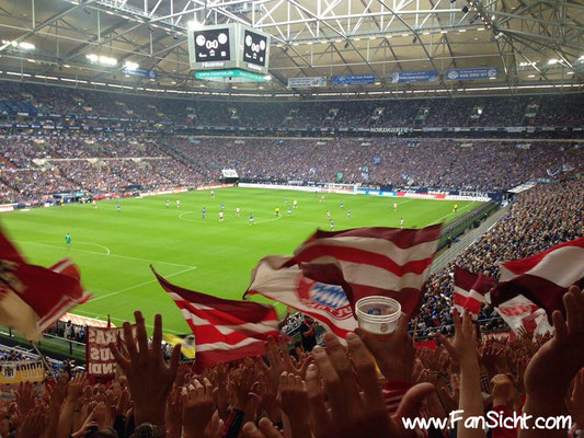 Sicht auf das Spielfeld in der Veltins Arena Gelsenkirchen Schalke 04 aus Block V W