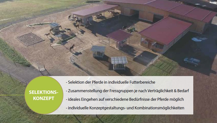 Selektionskonzept Schauer Active Horse Systems