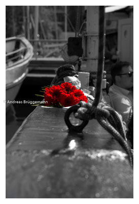red flower_2