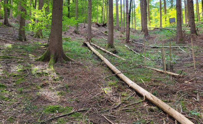 Winterthur ZH, 3.8.2025