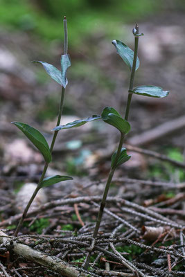Winterthur ZH, 23.7.2025