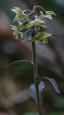 Winterthur ZH, 23.7.2025