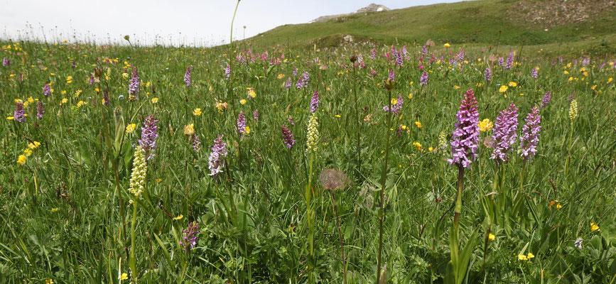 Scuol GR, 6.7.2019