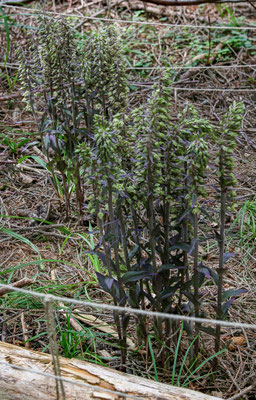 Winterthur ZH, 23.7.2025