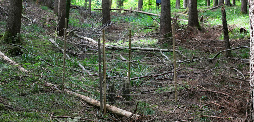 Winterthur ZH, 23.7.2025