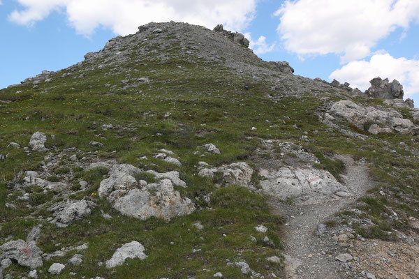 Il Jalet, Ofenpass GR, 21.7.2021 (Blick vom Orchideenstandort gegen den Gipfel) Zwergorchis direkt am Weg, sehr vorsichtig suchen, sie sind fast nicht sichtbar)