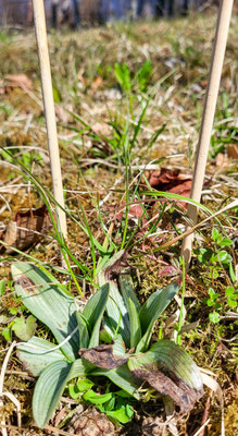 Wnterthur ZH, 14.3.2025