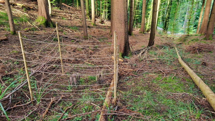 Winterthur ZH, 3.8.2025