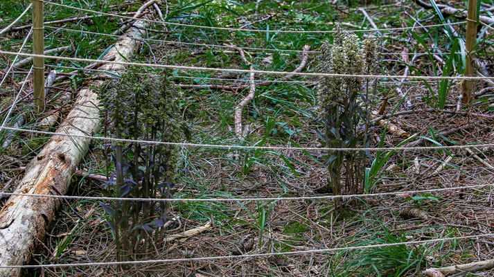 Winterthur ZH, 23.7.2025