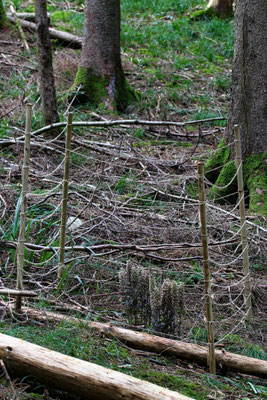 Winterthur ZH, 3.8.2025