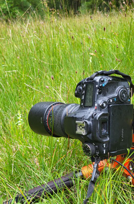 Matzingen ZH, 16.7.2025