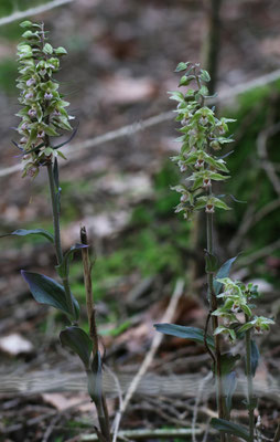 Winterthur ZH, 23.7.2025