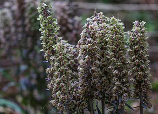 Winterthur ZH, 3.8.2025