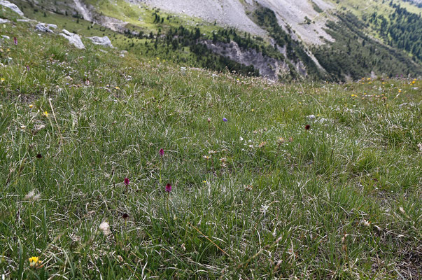 Ofenpass GR, 21.7.2021