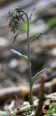 Winterthur ZH, 23.7.2025