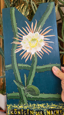Selenicereus grandiflorus (Königin der Nacht) von Doris gemalt auf ein Stiefelknecht-Brett, gesehen bei Johannes F.