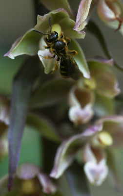 Freienstein ZH, 7.8.2025