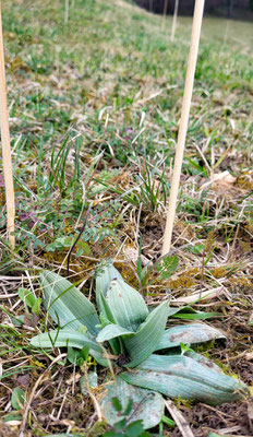 Wnterthur ZH, 14.3.2025