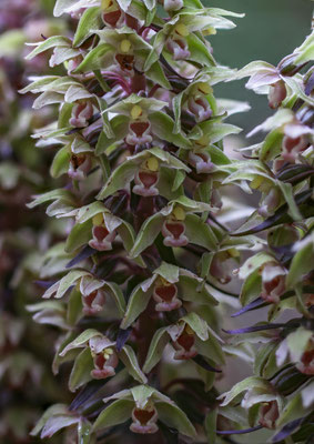 Winterthur ZH, 3.8.2025