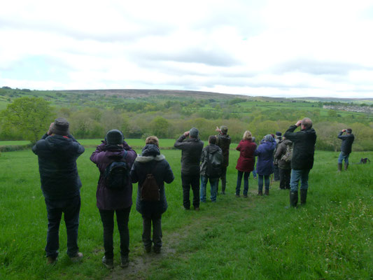 Top of Shep's Hill scanning for Birds of Prey