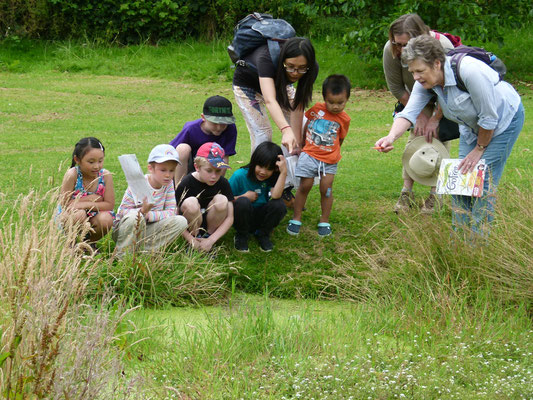 Jill Hnat pointing out frogs in one of the ponds in Green Oak Park.