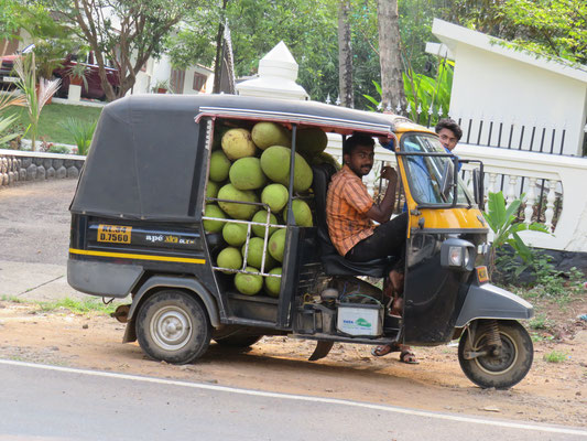 TukTuk in Kerala