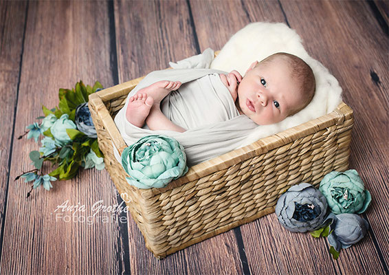 Professionelles Baby-Fotoshooting in Halle