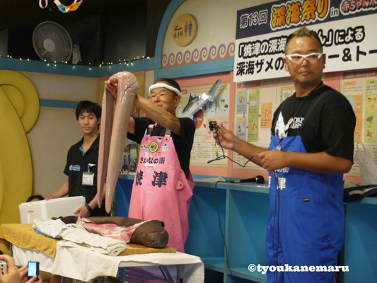 深海ザメの解体ショー
