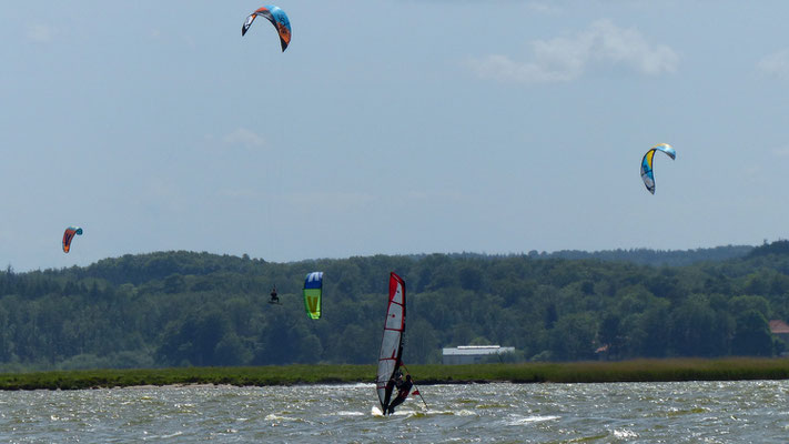 Schlei Strand Brodersby