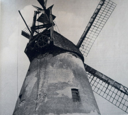 die Holländer Windmühle "Höchte" um 1900