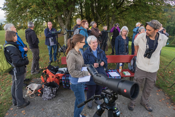 Bird Watch Day 01.10.2017 (Foto: Stephan Trösch)