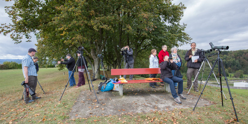 Bird Watch Day 02.10.2016 (Foto: Stephan Trösch)