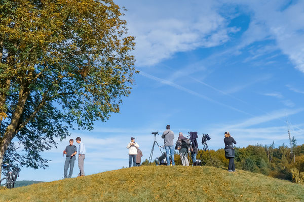 Bird Watch Day 03.10.2010 (Foto: Stephan Trösch)