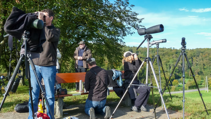 Bird Watch Day 03.10.2010 (Foto: Stephan Trösch)