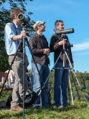 Bird Watch Day 03.10.2010 (Foto: Stephan Trösch)