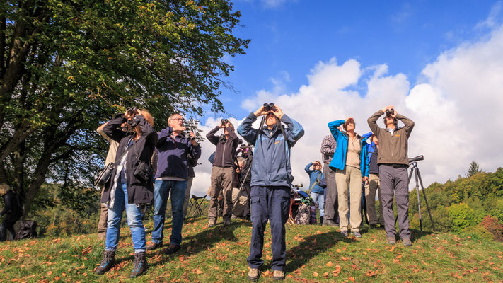 Bird Watch Day 01.10.2017 (Foto: Stephan Trösch)