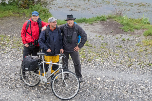 Mats Amsler, Urs Vetterli und Roger Stoll anlässlich des Bird Race Schweiz 2017 | Vorarlberger Rheindelta (Foto: Stephan Trösch)