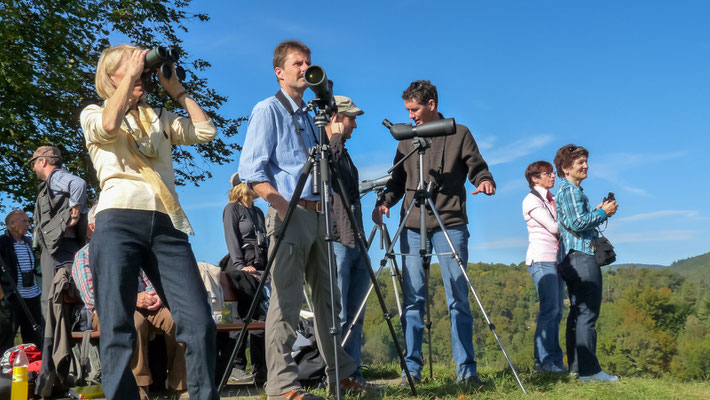 Bird Watch Day 03.10.2010 (Foto: Stephan Trösch)