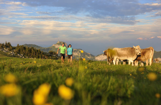 ©Appenzellerland Tourismus_Christian Perret