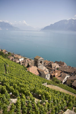 ©Montreux-Vevey Tourisme