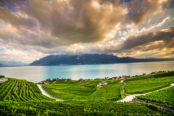 ©Montreux Vevey Tourisme_Maude Rion