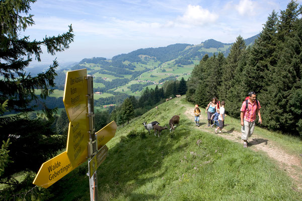 ©Sportbahnen-Atzmännig