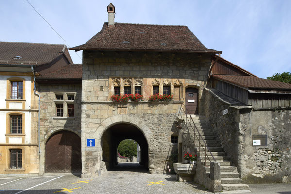 Musée d’Estavayer-le-Lac et ses Grenouilles