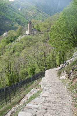 ©Fondazione-Curzutt