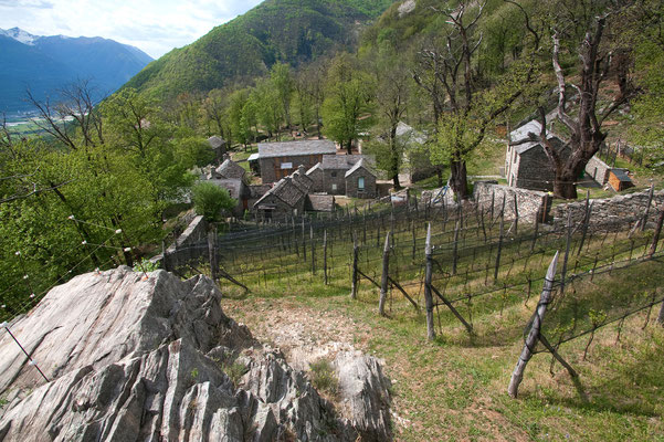 ©Fondazione-Curzutt
