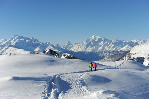 ©Aletsch Arena