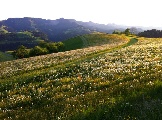 ©Landgasthof Hotel Menzberg