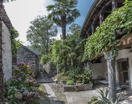 Ascona-Locarno Tourism/Alessio Pizzicannella