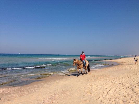 Equitation à proximité